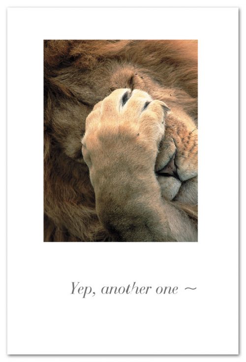 Yep, Another One Paw-faced Lion Card