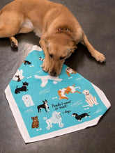 Load image into Gallery viewer, PEOPLE I WANT TO MEET: DOGS DISH TOWEL
