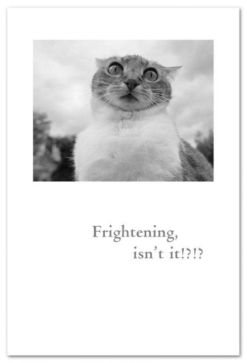 Frightening Isn't It Card