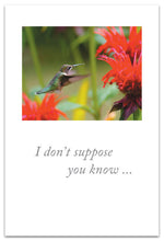 Load image into Gallery viewer, I Don&#39;t Suppose You Know Hummingbird Card
