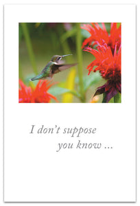 I Don't Suppose You Know Hummingbird Card