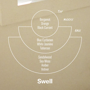 P.F. Candle Co - Swell - Sunset Incense Cones