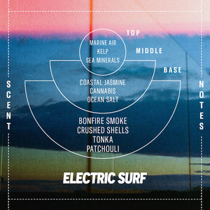 P.F. Candle Co - Electric Surf 7.2 oz Soy Candle