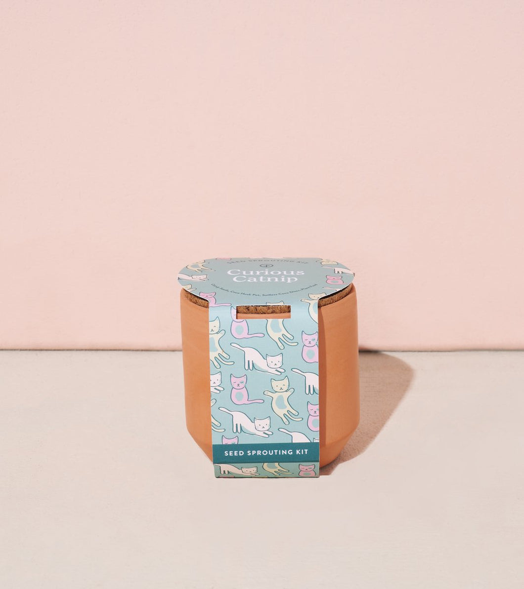 Curious Catnip - Tiny Terracotta Kit