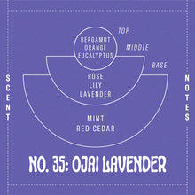 Load image into Gallery viewer, P.F. Candle Co - Ojai Lavender Incense Sticks
