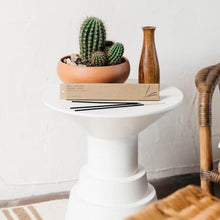 Load image into Gallery viewer, P.F. Candle Co - Golden Coast Incense
