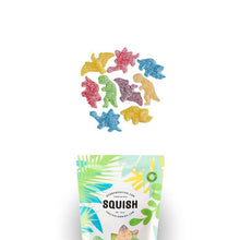 Load image into Gallery viewer, Squish Vegan Dinosaur Gourmet Candy
