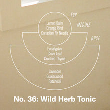 Load image into Gallery viewer, P.F. Candle Co - Wild Herb Tonic 7.2oz
