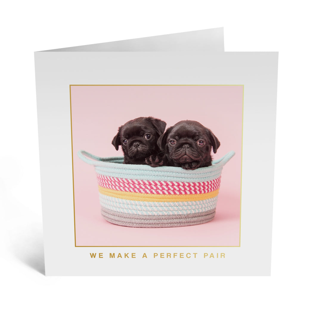 Pugs We Make A Perfect Pair Card